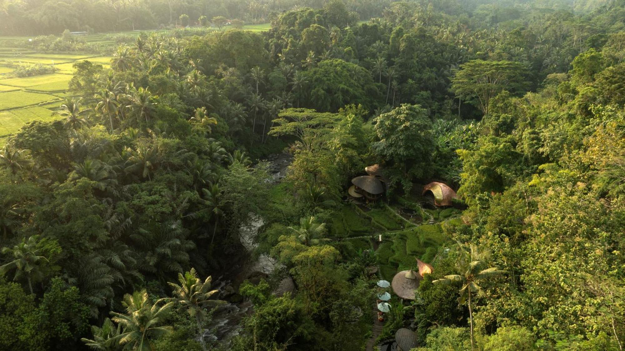 Bambu Indah Ubud